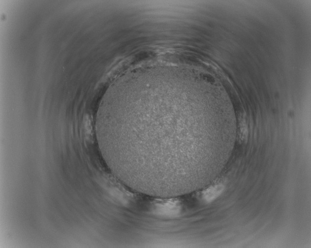 X0000058780667200510031021