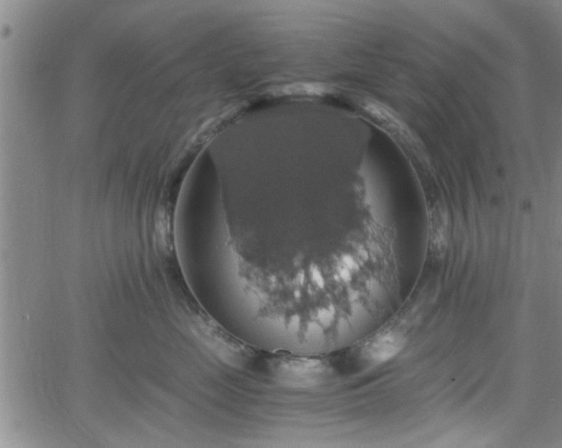 X0000058780669200510031021