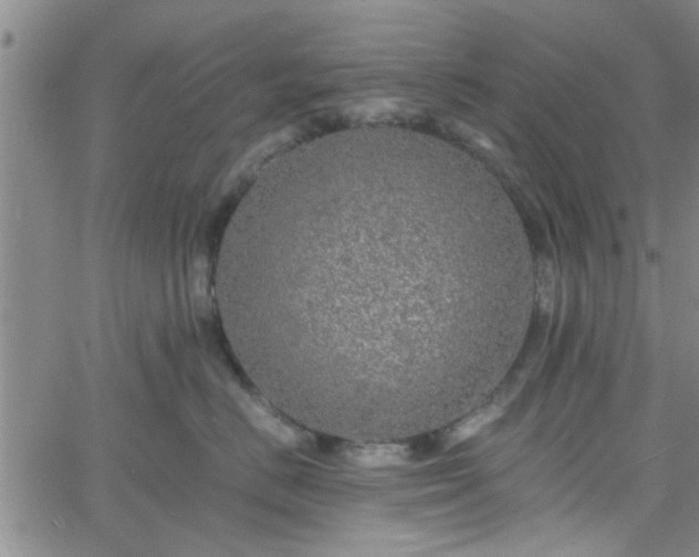 X0000058780670200510031021