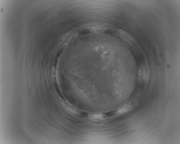 X0000058780671200510031021