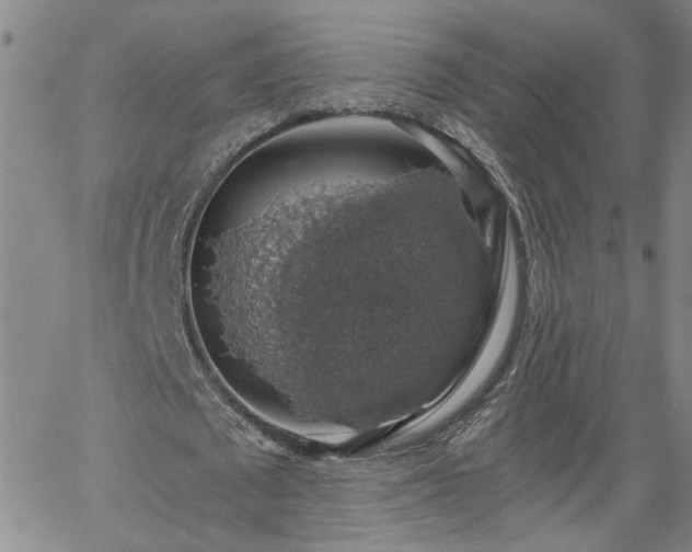 X0000058780673200510031021