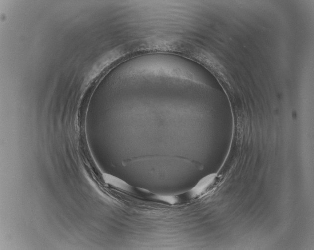 X0000058780674200510031021