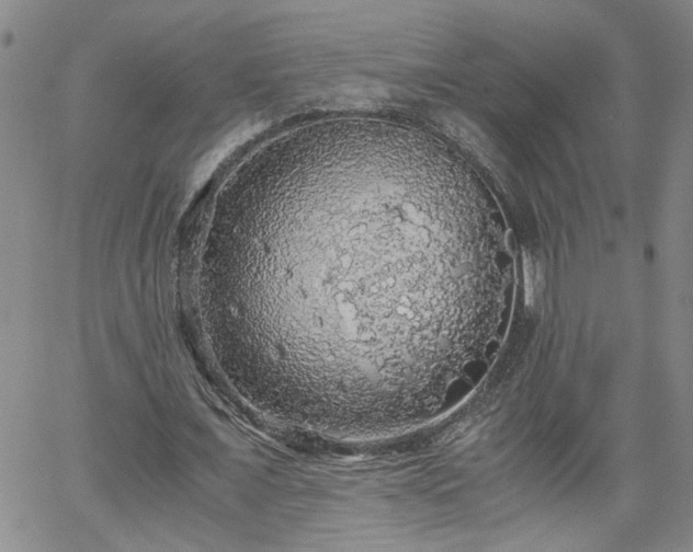 X0000058780675200510031021