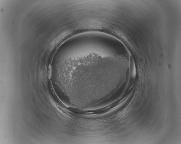 X0000058780677200510031021