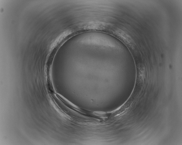 X0000058780678200510031021