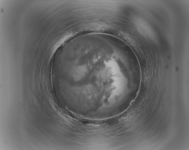 X0000058780679200510031021