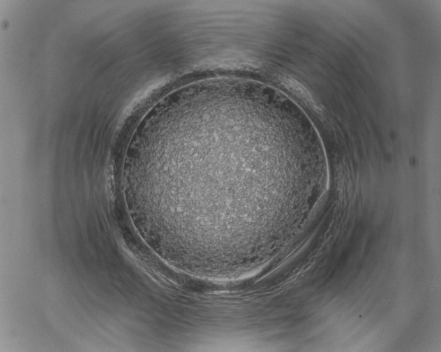 X0000058780680200510031021