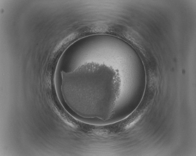 X0000058780681200510031021