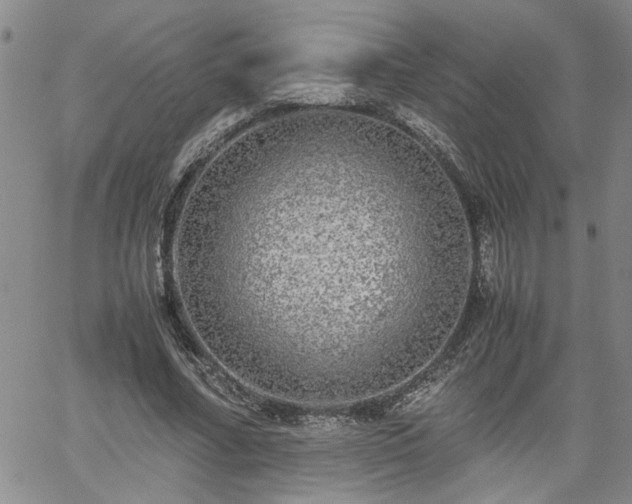 X0000058780682200510031021