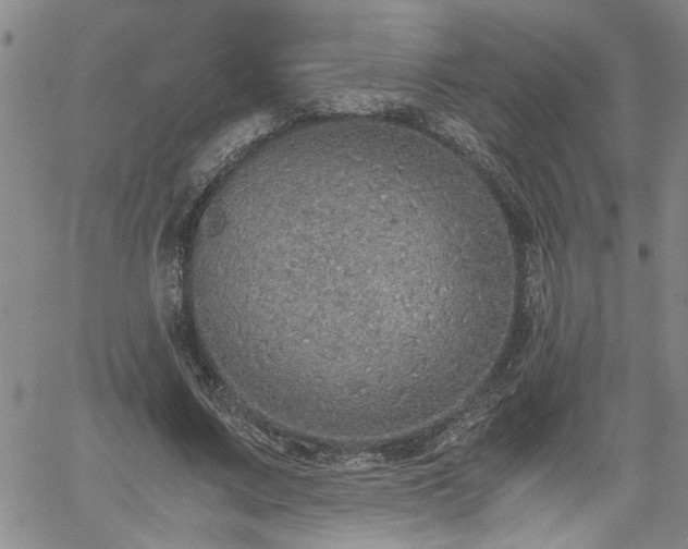 X0000058780683200510031020