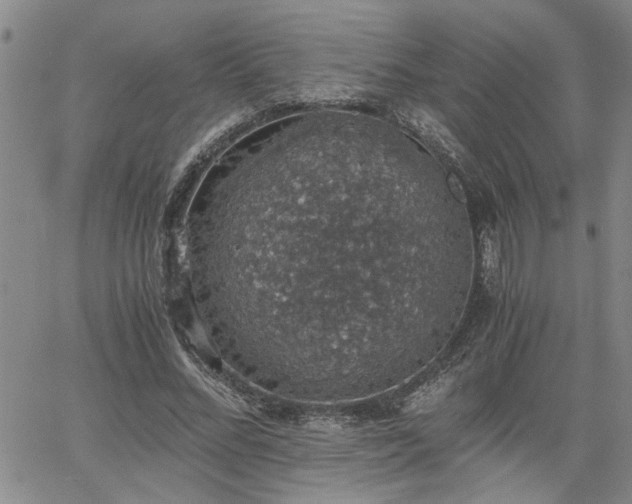 X0000058780684200510031020