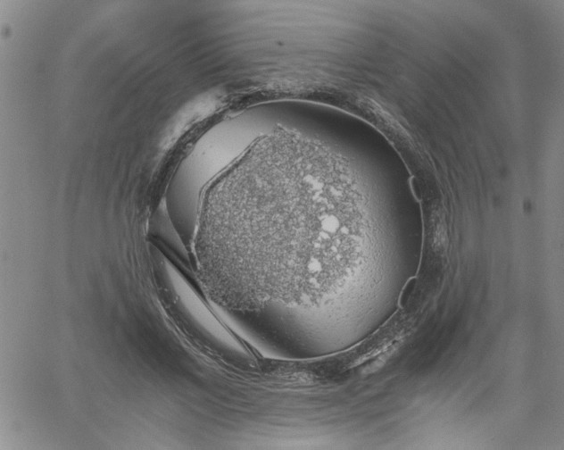 X0000058780685200510031020