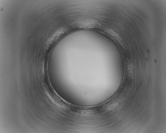 X0000058780686200510031020