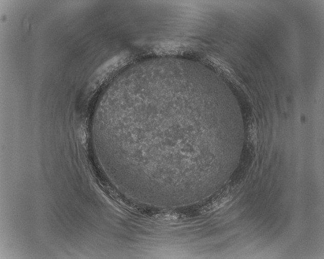 X0000058780687200510031020