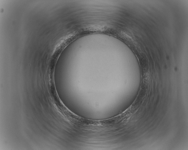 X0000058780688200510031020