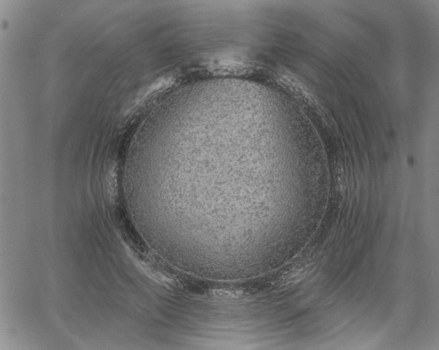 X0000058780690200510031020