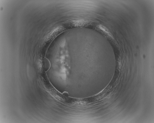 X0000058780691200510031020