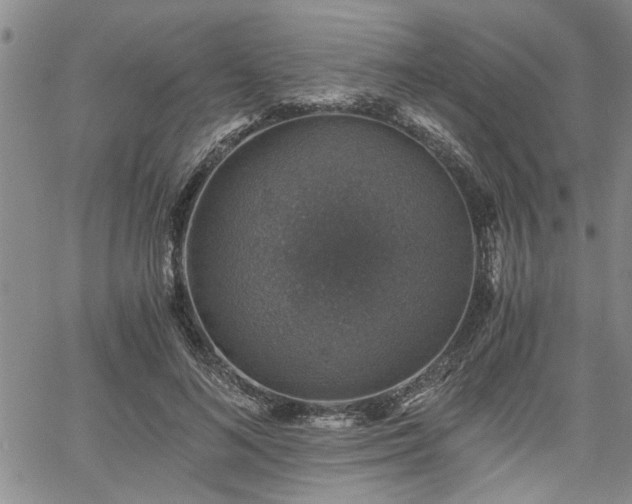 X0000058780692200510031020