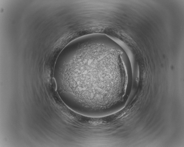 X0000058780693200510031020