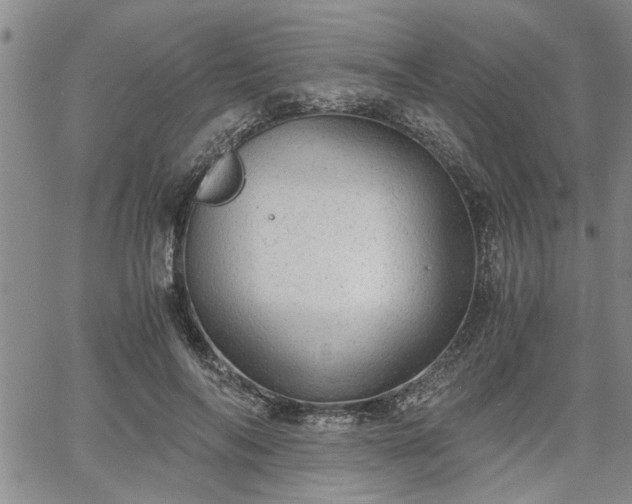 X0000058780694200510031020