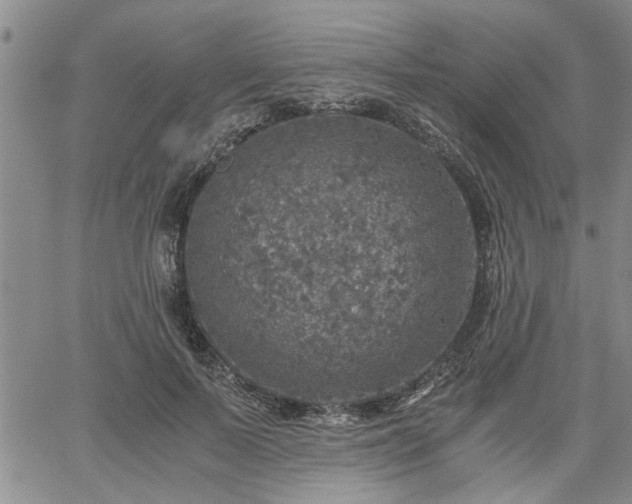 X0000058780695200510031020