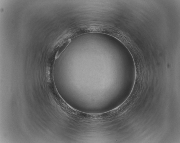 X0000058780696200510031020