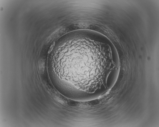 X0000058780697200510031020