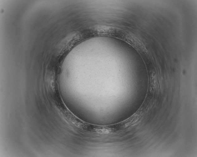 X0000058780698200510031020