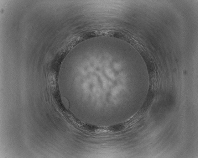 X0000058780699200510031020