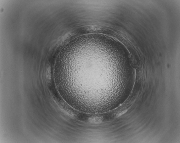 X0000058780700200510031020