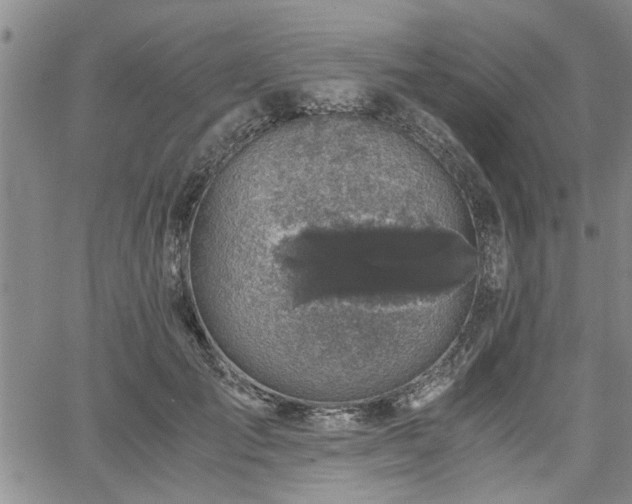 X0000058780701200510031020