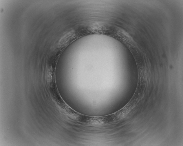 X0000058780702200510031020