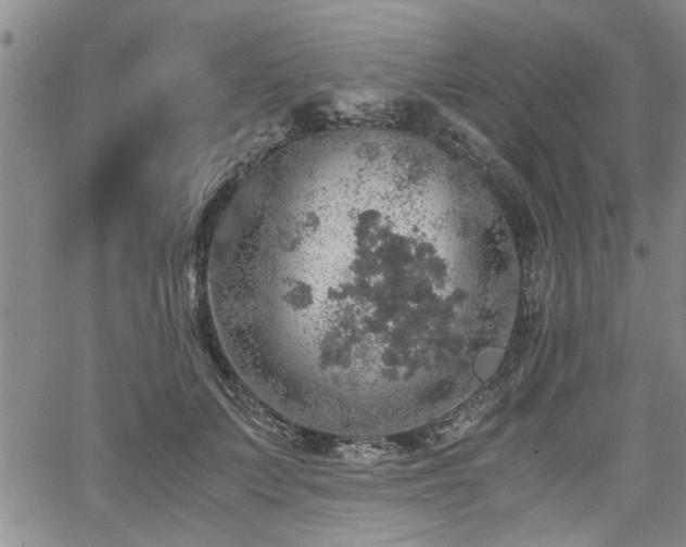 X0000058780703200510031020