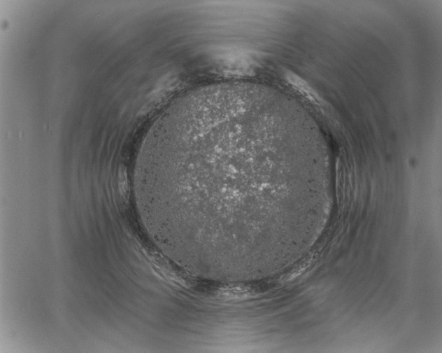 X0000058780704200510031020