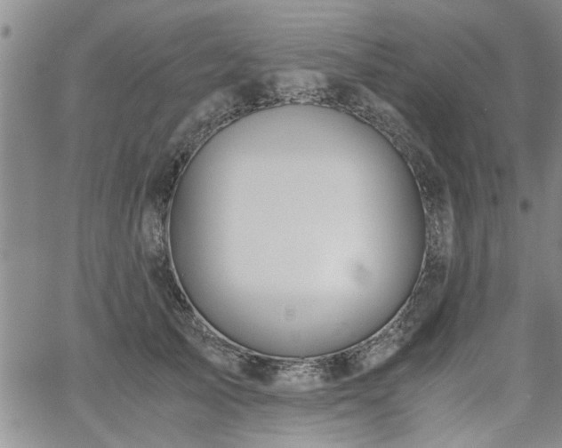 X0000058780705200510031020