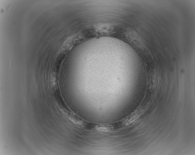 X0000058780706200510031020