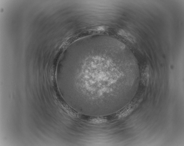 X0000058780708200510031020