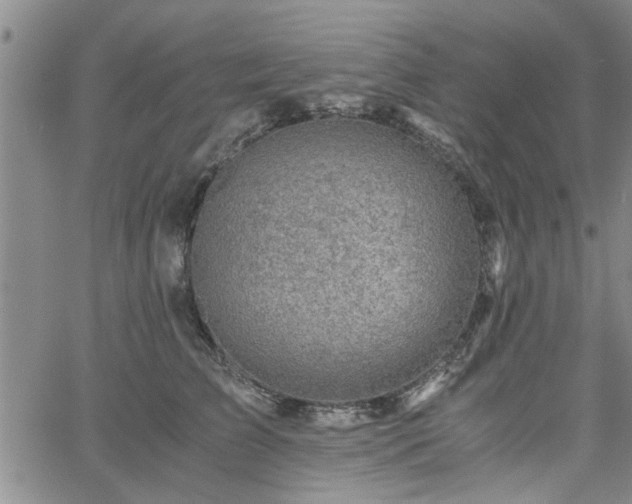 X0000058780709200510031020