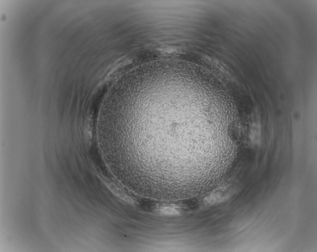 X0000058780710200510031020