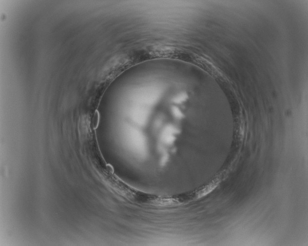 X0000058780711200510031020