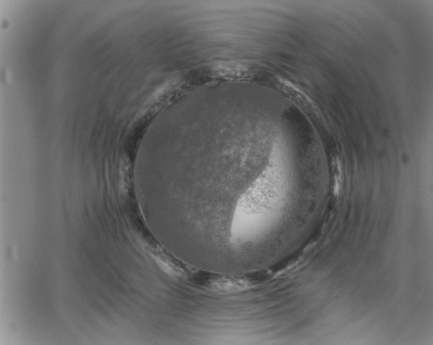 X0000058780712200510031020