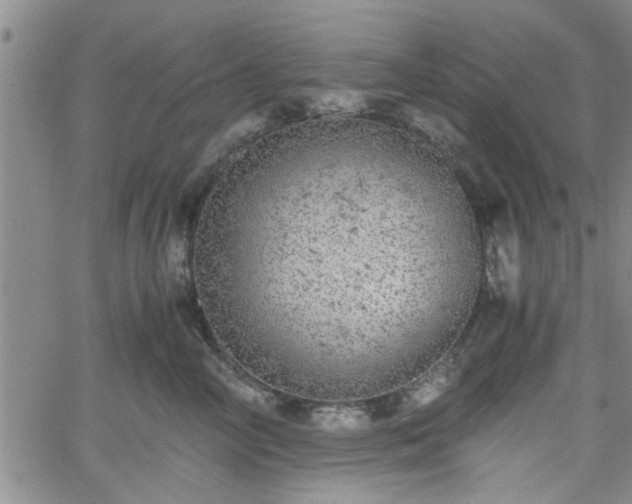 X0000058780714200510031020