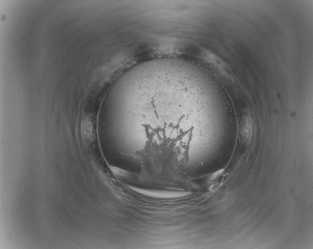 X0000058780715200510031020