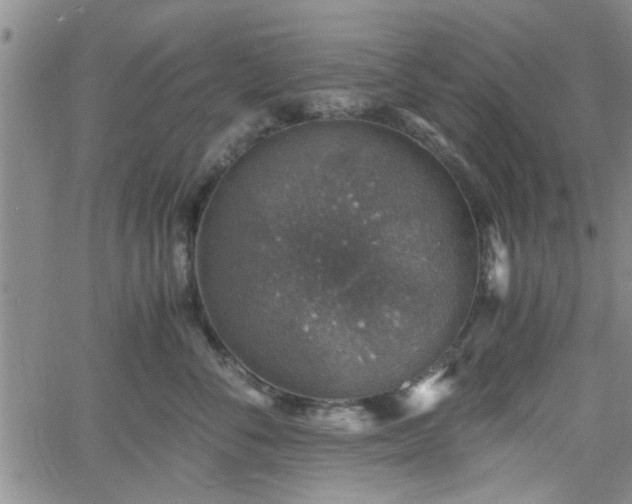 X0000058780716200510031020