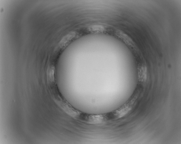 X0000058780717200510031020