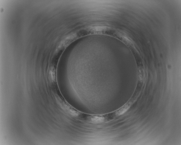 X0000058780718200510031020