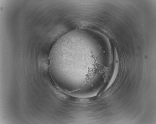 X0000058780719200510031020