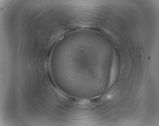 X0000058780720200510031020