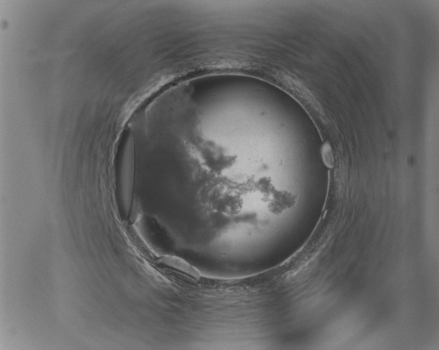 X0000058780721200510031019