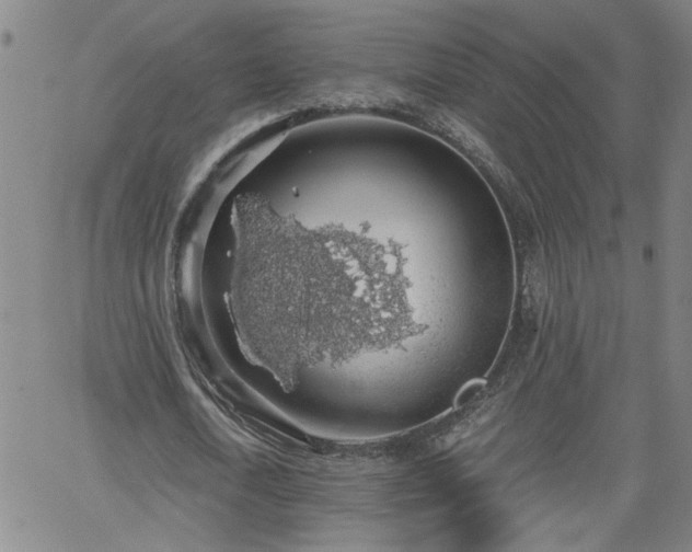 X0000058780722200510031019